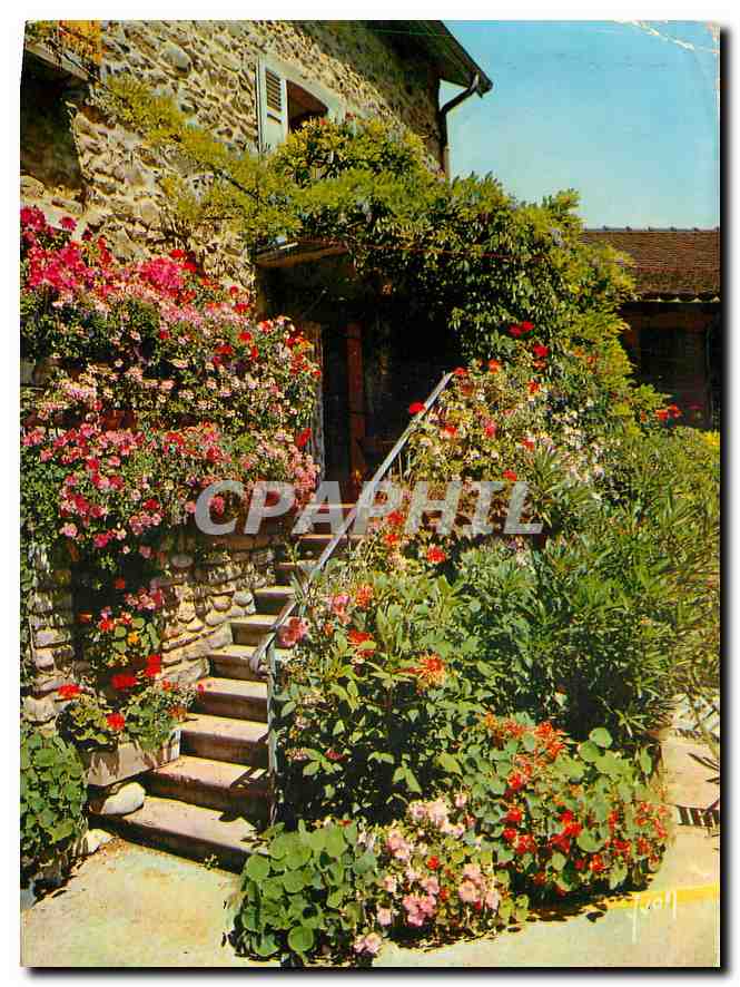 CPM Couleurs et Lummiere de France Maison Fleurie