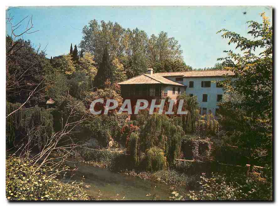 CPM Lumiere et Beaute de la Cote d'Azur Paysage Typique du Haut Var