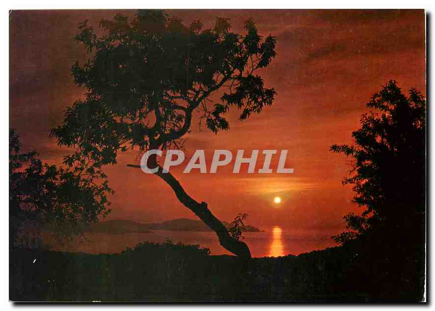 CPM Bords de Mer Coucher de Soleil sur la Cote