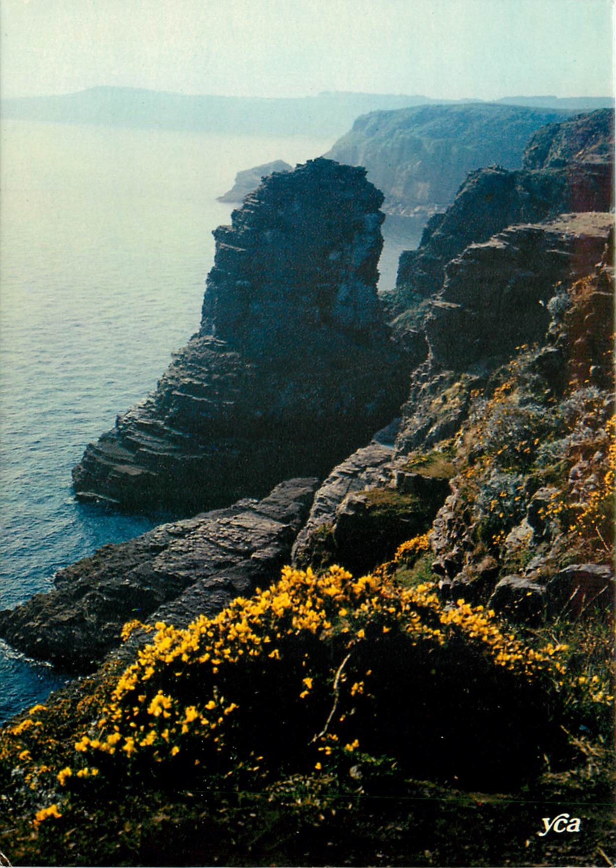 CPM La Bretagne Pittoresque le Cap Frehel sur le Versant Est Le roche de la Grande Fauconnerie