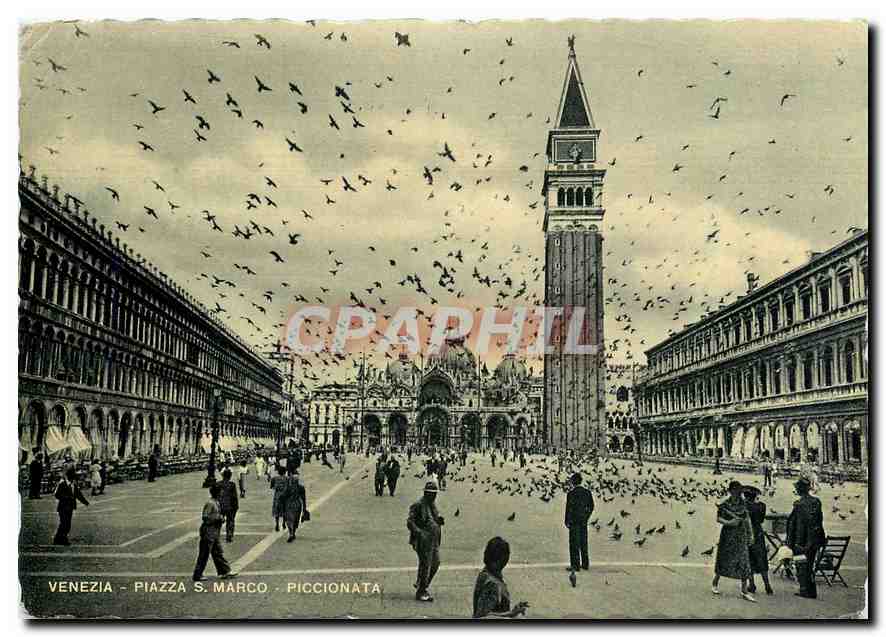 CPM Venezia Piazza S Marco Piccionata