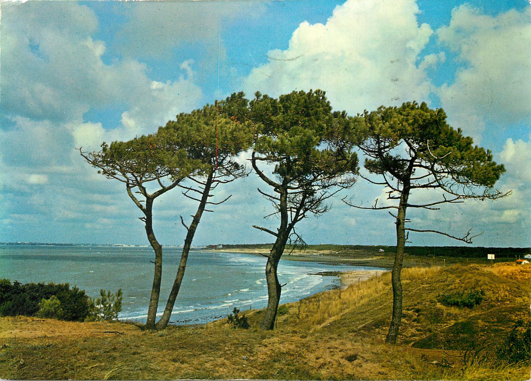 CPM  Lumiere de la cote de Jade Saint Brevin La Baie de l'Ermitage vue de la Pierre attelee