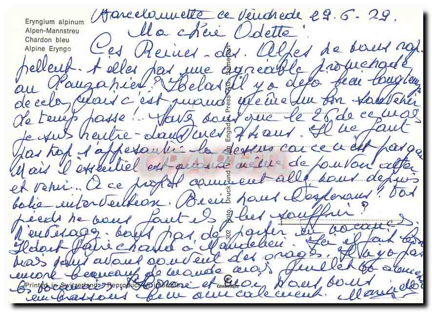 CPM Chardon Bleu — Rückseite