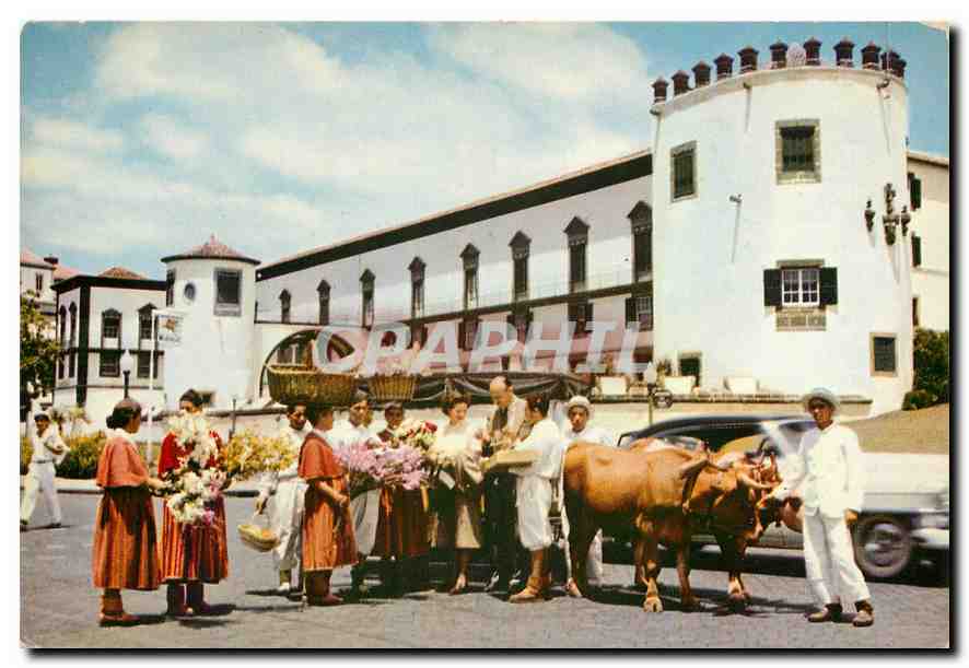 CPM Carro de Bois Funchal Madeira Folklore Bœufs