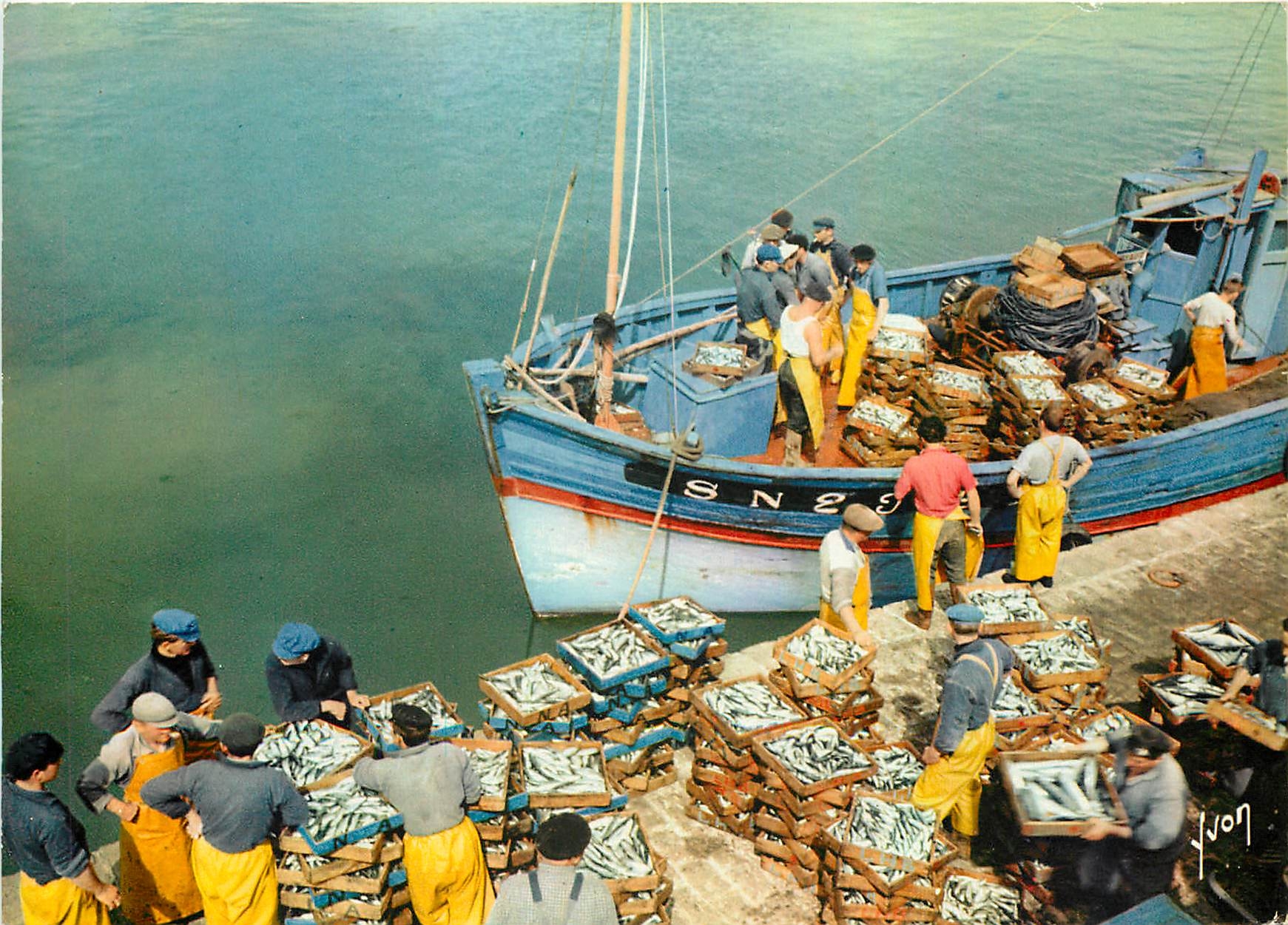 CPM Couleurs et Lumiere de France Debarquement du poisson dans un port Breton Bateau de peche