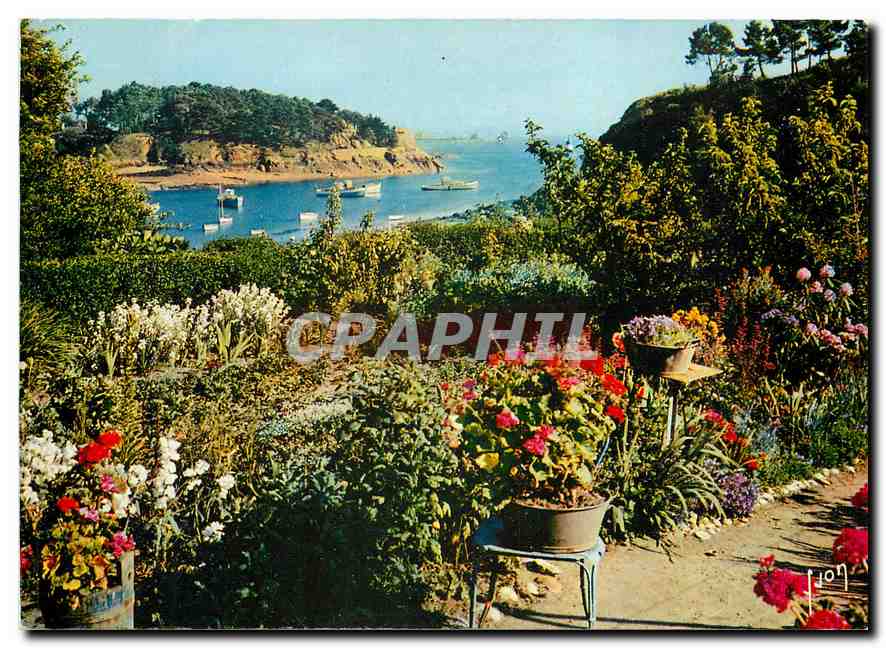CPM Couleurs et Lumiere de France Brehat (Cotes du Nord) Ile des fleurs et des rochers roses Parlerr