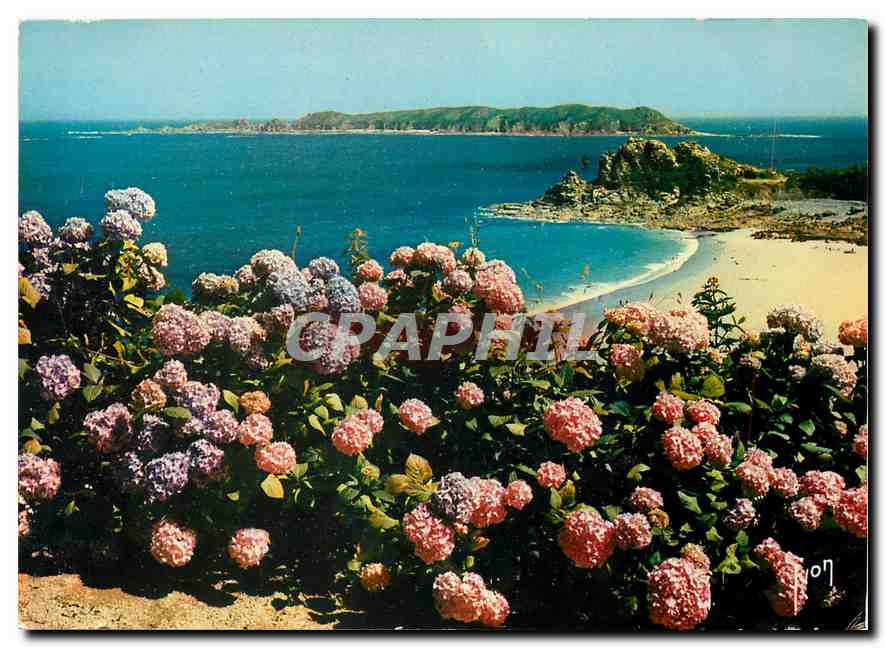 CPM Couleurs et Lumiere de France La Bretagne Perros Guirec (Cotes du Nord) Plage de Trestrignel