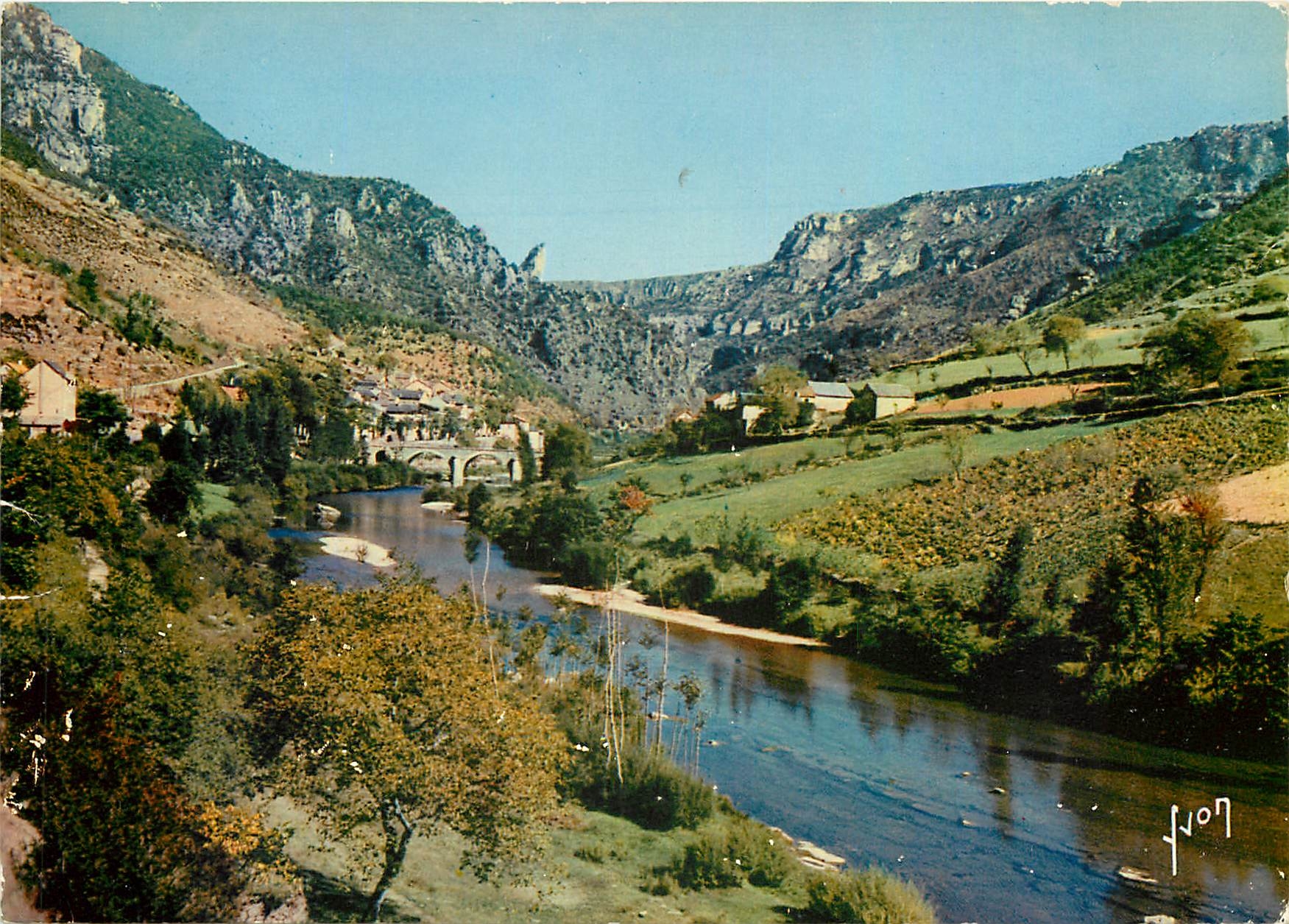 CPM Couleurs et Lumiere de France Gorges du Tarn (Lozere) les Vignes