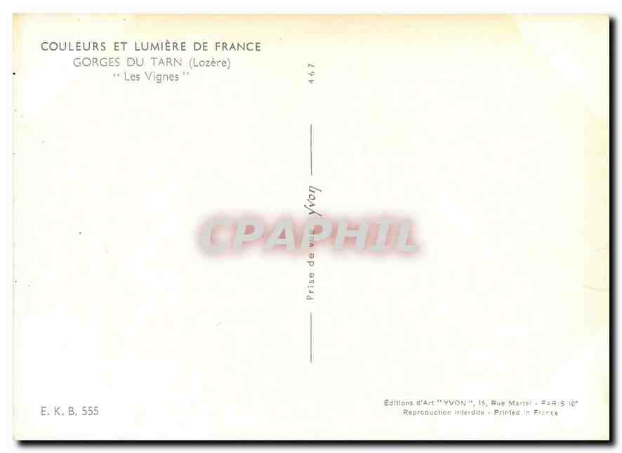 CPM Couleurs et Lumiere de France Gorges du Tarn (Lozere) les Vignes — Verso