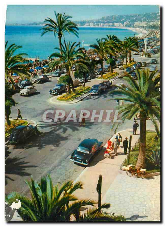 CPM Couleurs et Lumliere de France La Cote d'Azu Miracle de la nature Nice (Alpes Maritimes) Promena