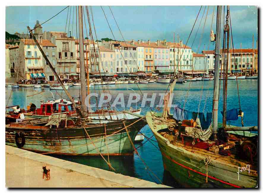 CPM Couleurs et Lumliere de France La Cote d'Azu Miracle de la nature Saint Tropez (Var) Les Quais B