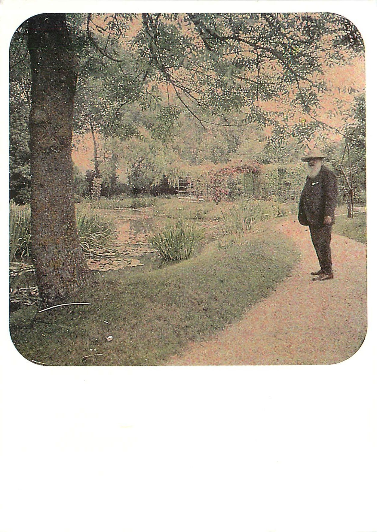 CPM Etienne Clementel 1864 1936 Claude Monet devant le bassin aux Nympheas