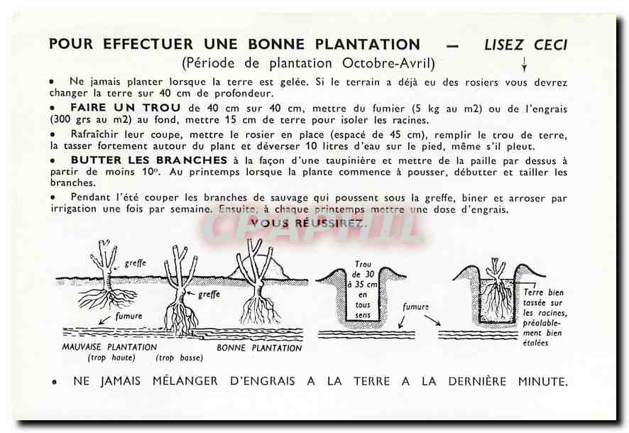 CPM Fleurs  Pour Effectuer Une bonne Plantation Faire Un trou Butter les Brasnche — Rückseite