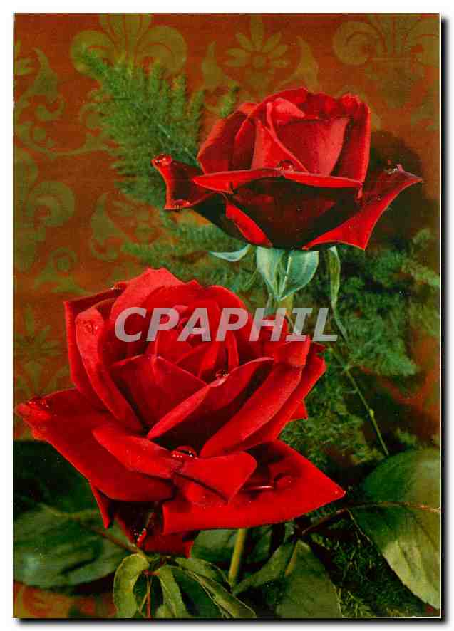 CPM Fleurs  