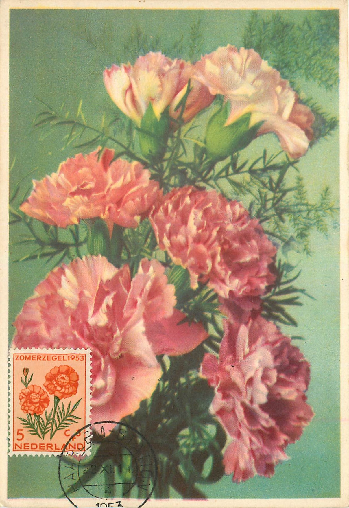 CPM Fleurs   