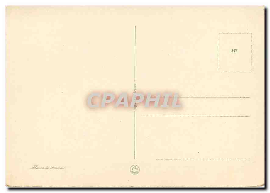 CPM Fleurs   — Verso