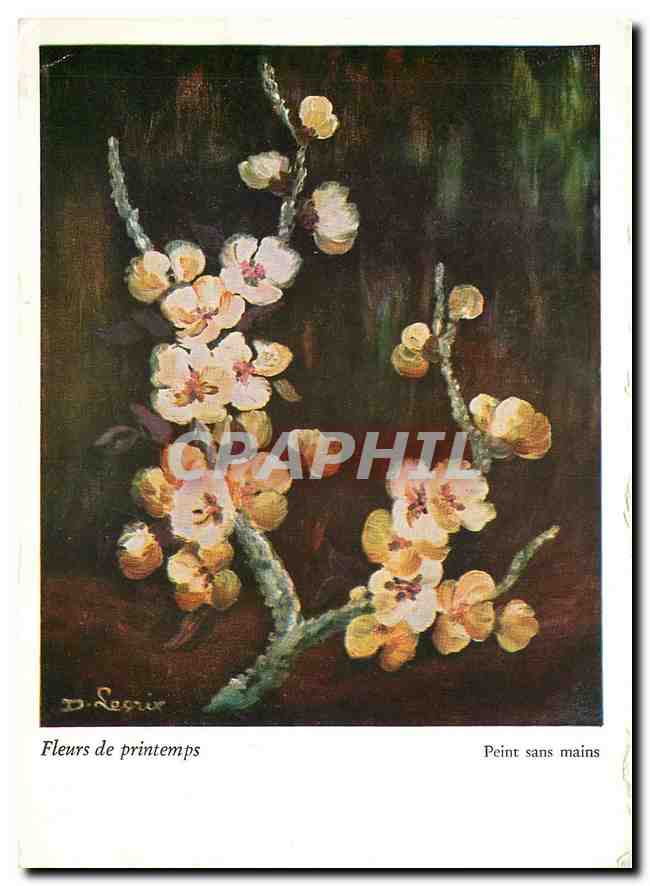 CPM Fleurs  Fleurs de Printemps Peint sans mains