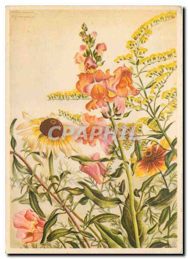 CPM Fleurs  Marianne Schneegans Blumen (12 karten)