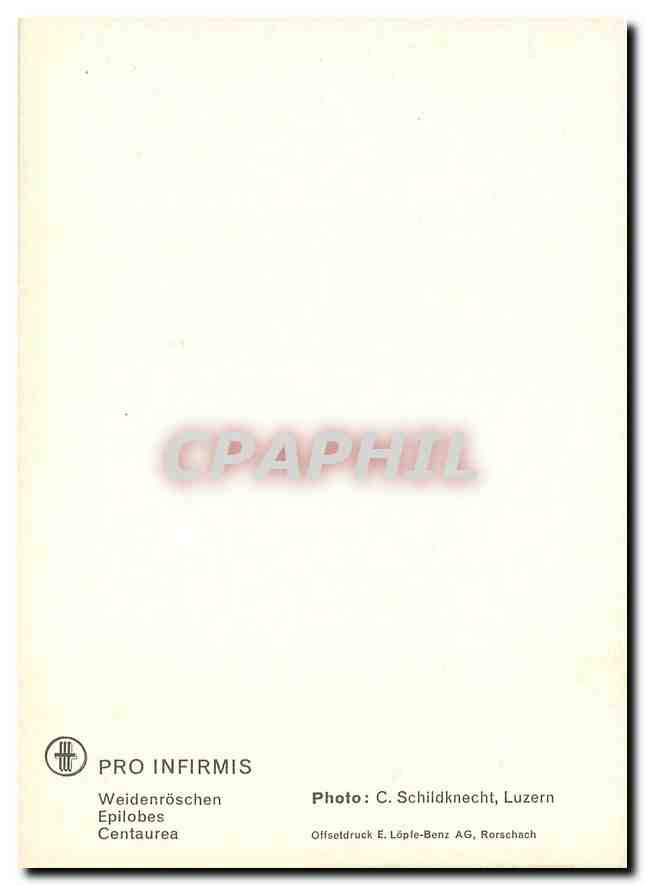 CPM Fleurs   — Rückseite