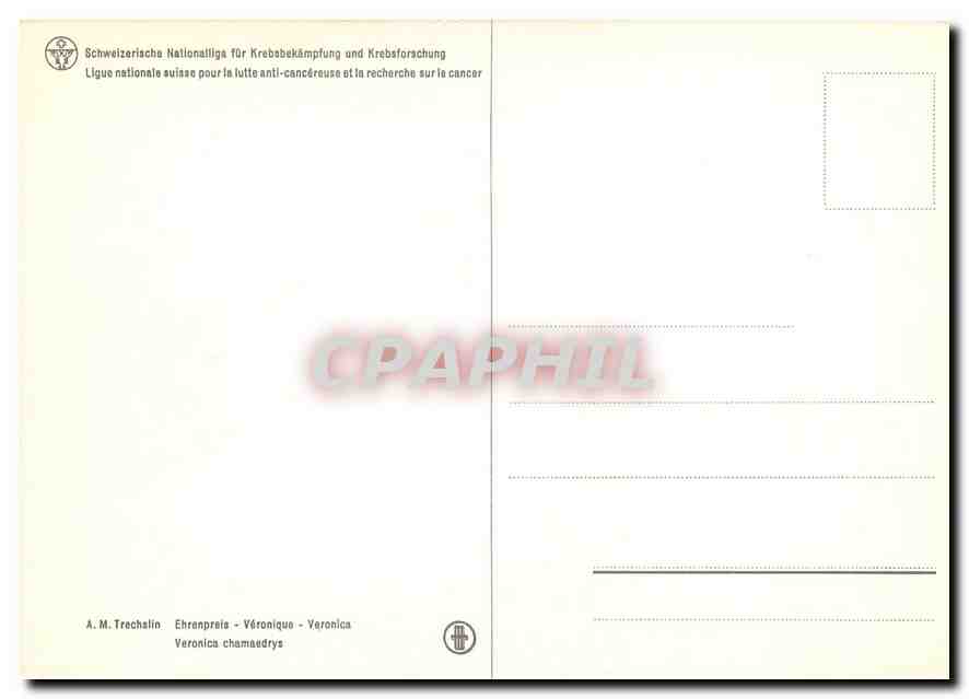 CPM Fleurs   — Rückseite