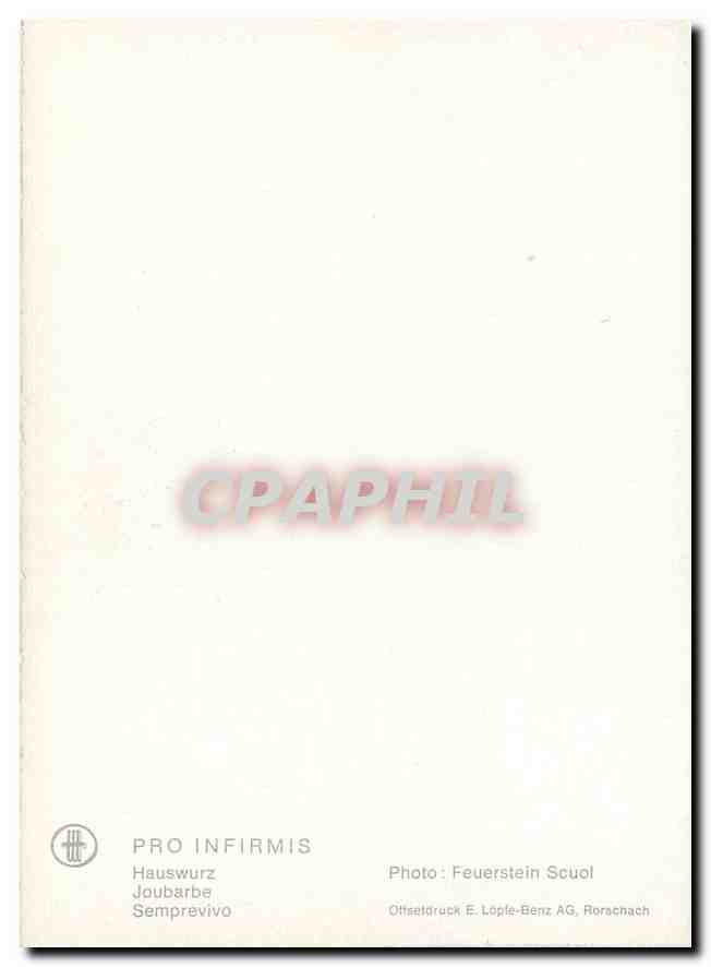 CPM Fleurs   — Rückseite