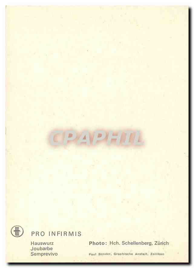 CPM Fleurs   — Back