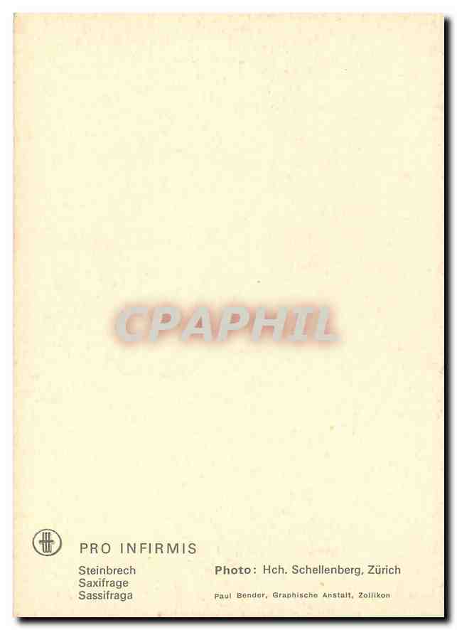 CPM Fleurs   — Rückseite
