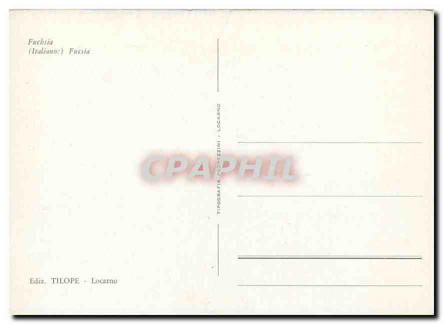 CPM Fleurs  Fuchsia Italiano Fucsia — Rückseite