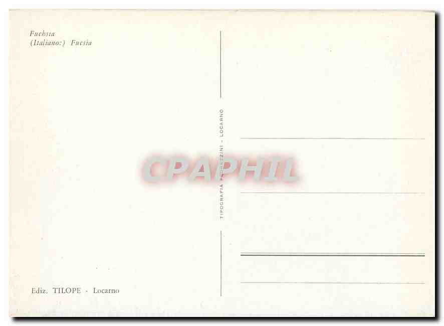 CPM Fleurs  Fuchsia Italiano Fucsia — Rückseite