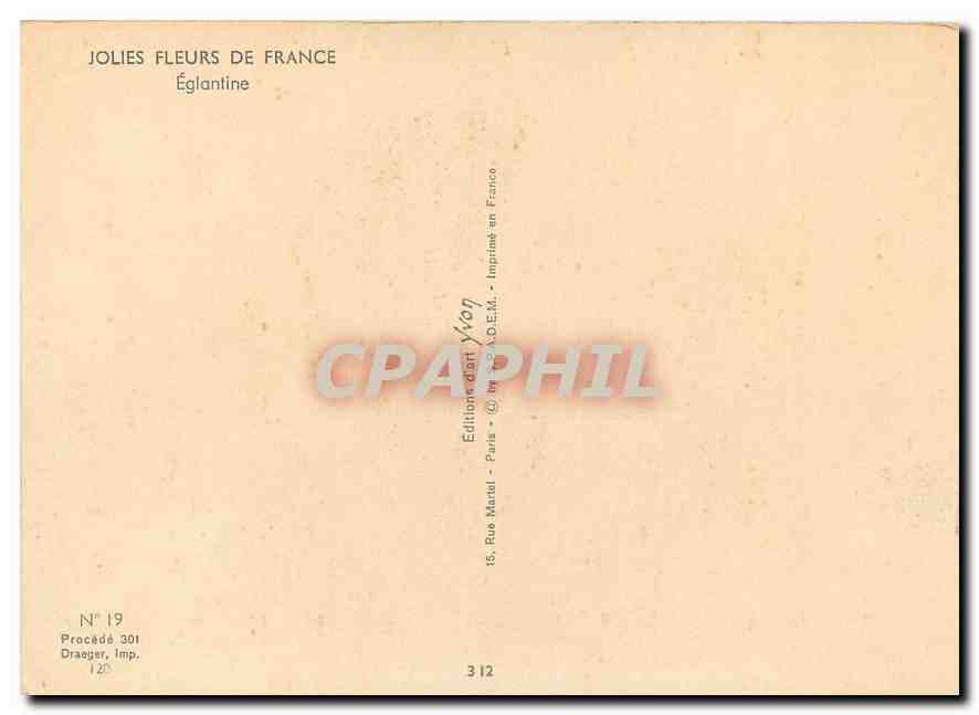 CPM Fleurs  Joues Fleurs de France Eglantine — Back