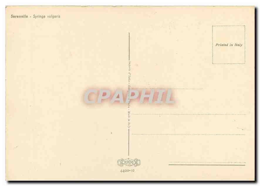 CPM Fleurs  Serenellas Syringe Vulgaris — Rückseite