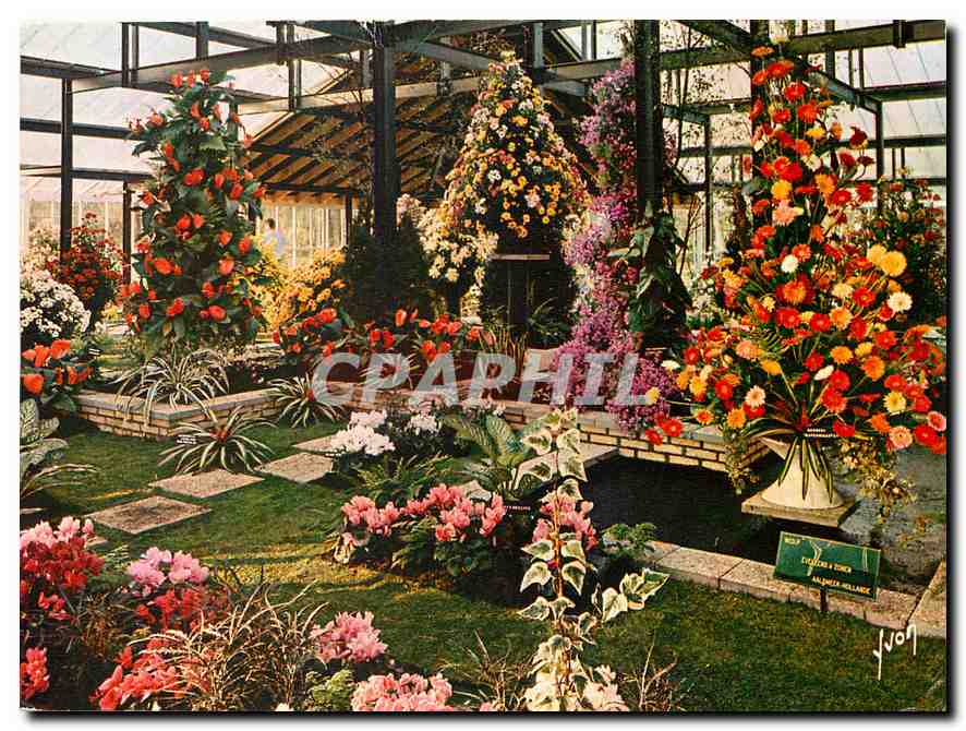 CPM Fleurs  Floralies internationale Paris 1969