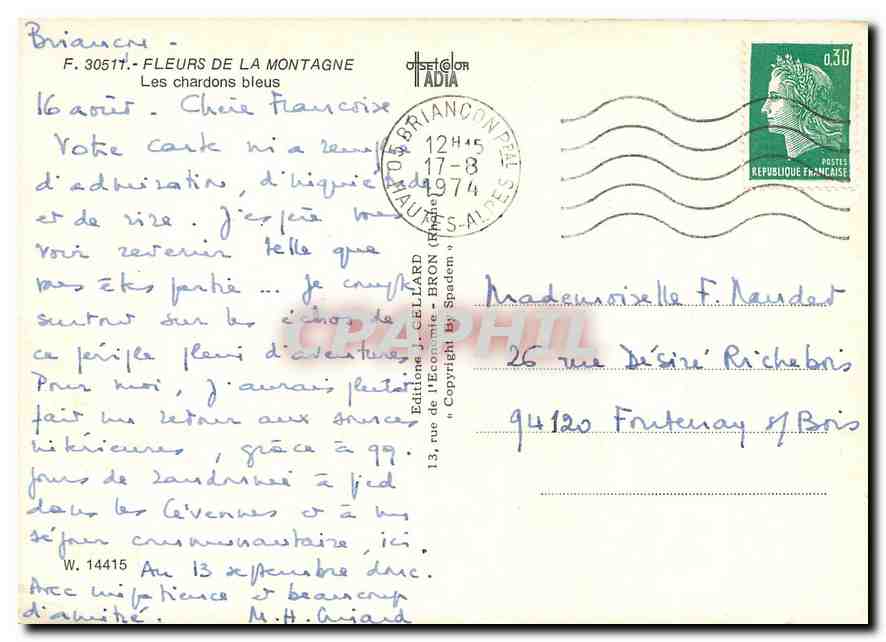 CPM Fleurs  Fleurs de la Montagne les Chardons bleus — Rückseite