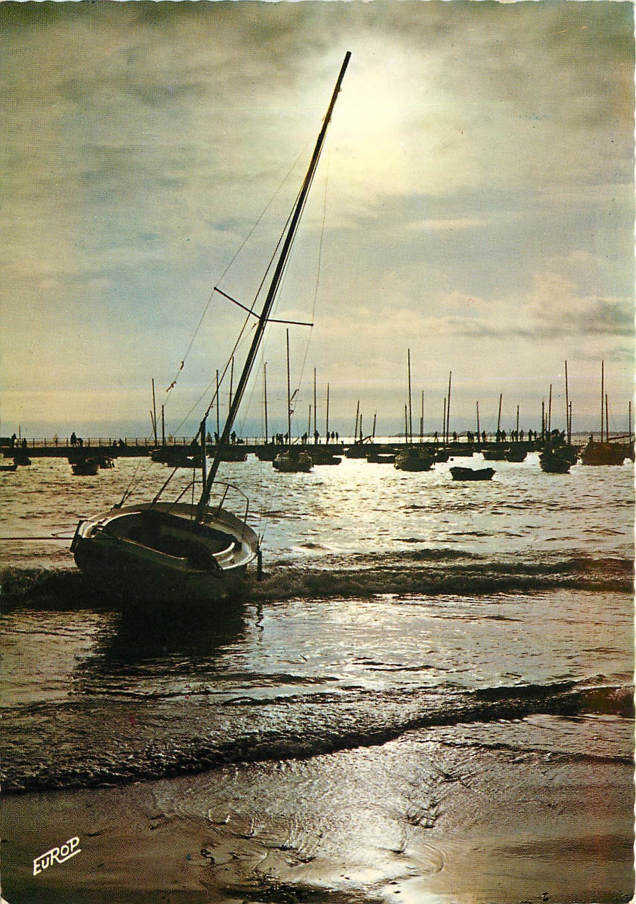 CPM Pornichet (Loire Atl) Qaund le soir tombe sur le port