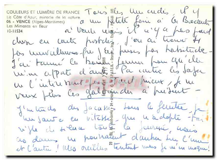 CPM Couleurs et Lumiere de France La Cote d'Azur miracle de la nature Vence (A Mmes) Les Mimosas en  — Rückseite