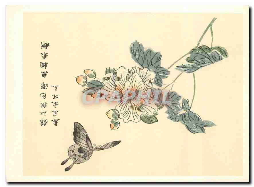 CPM Du jardin de la Graine du Moutarde Nanking