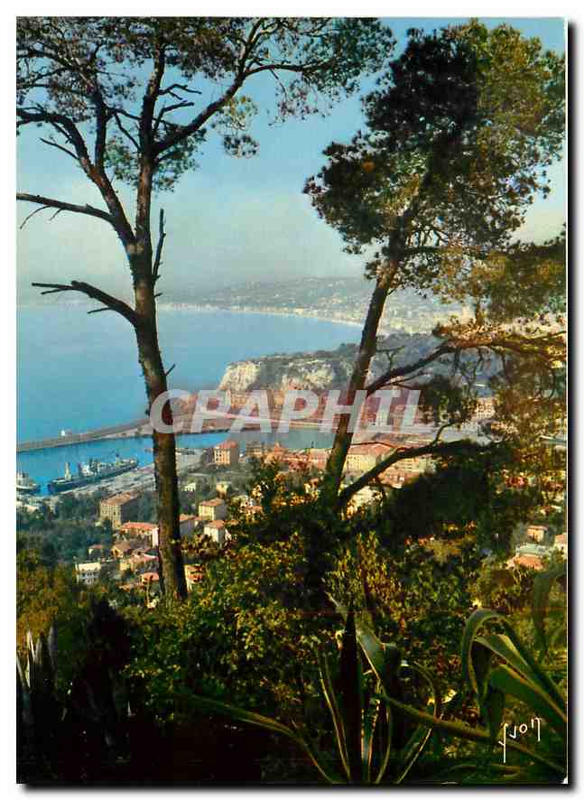 CPM Couleurs et Lumiere de France La Cote d'Azur miracle de la nature Nice (Alpes Mmes) Nice general
