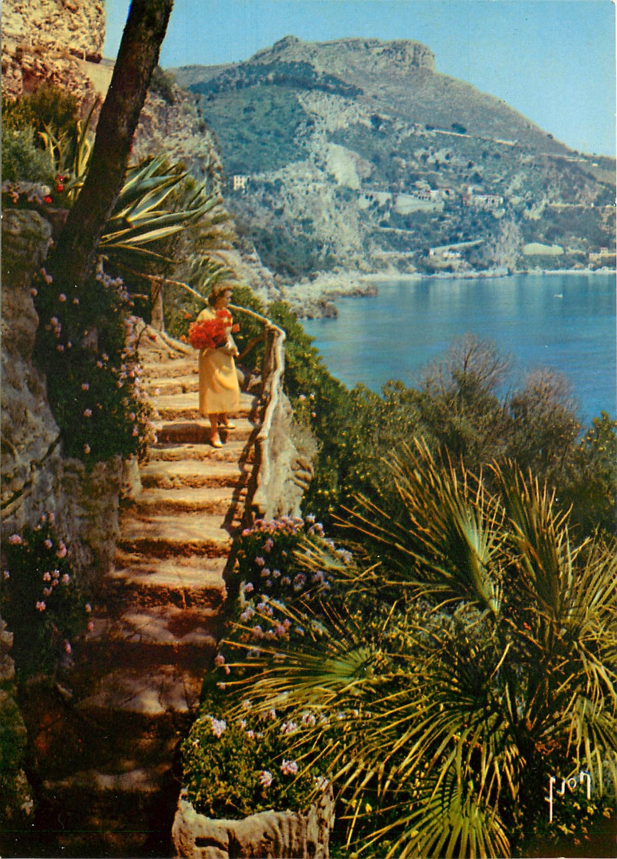 CPM Couleurs et Lumiere de France La Cote d'Azur miracle de la nature Le Cap d'Ail et la tete de Chi