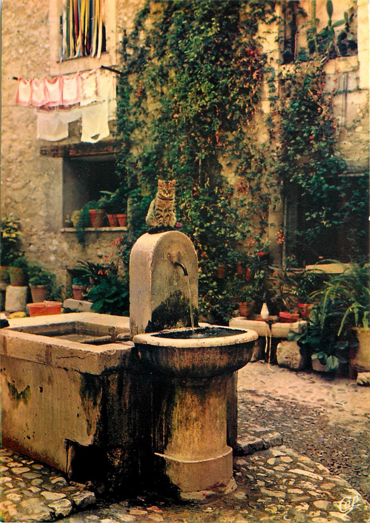 CPM  Cote d'Azur Carrefour Mondial du Tourisme la Fontaine au chat