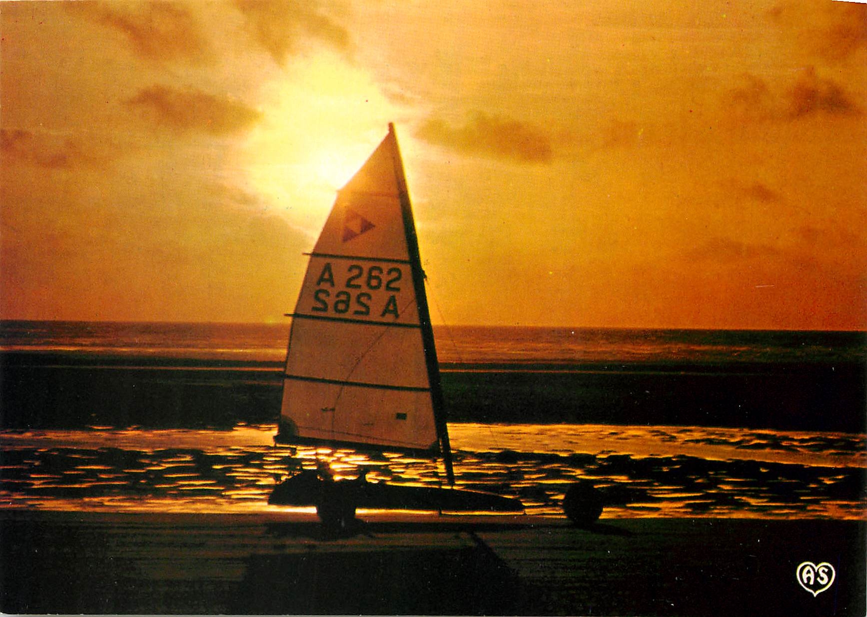 CPM La Cote d'Opal la vague en a paru et comme enfalmmee