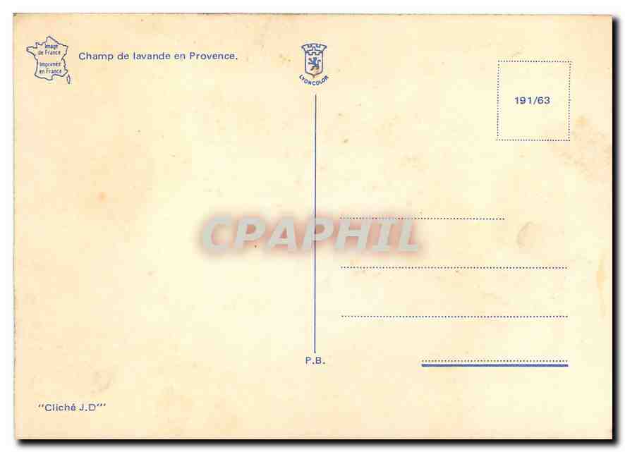 CPM Champ de lavande en Provence — Verso