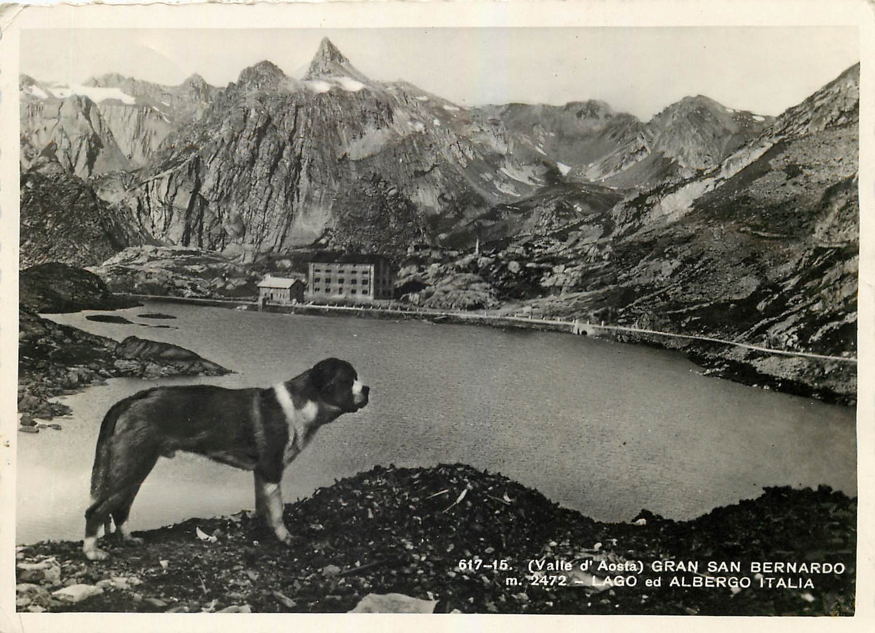 CPM (Valle d'Aosta) Gran San Bernardo Lago ed Albergo Italia Chien St Bernard
