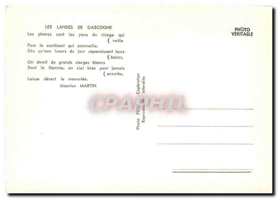 CPM Les Landes de Gascogne Maurice Martin Phare — Rückseite