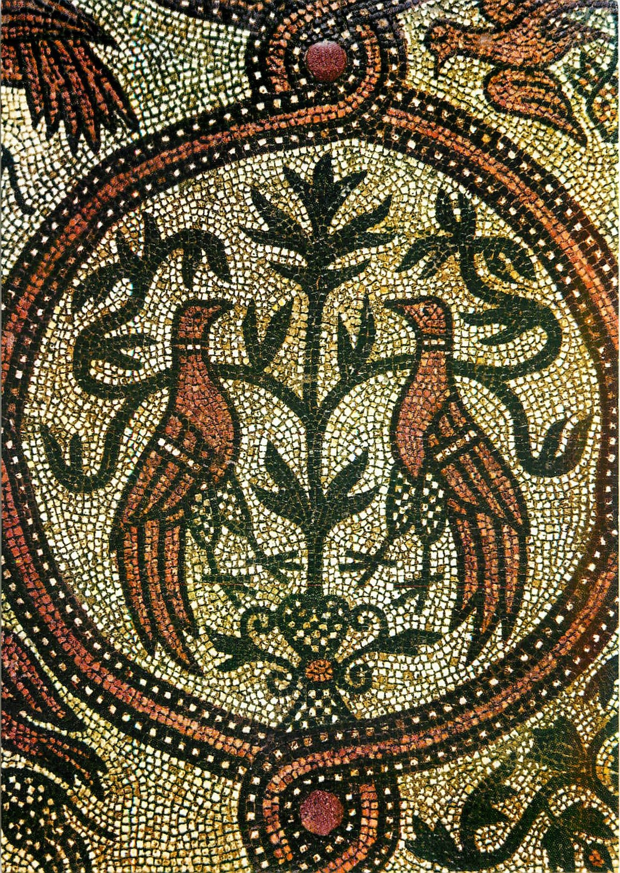 CPM Venezia Basilica di S Marco Pavement a mosaique XIIe s Colombes partie droite du transept