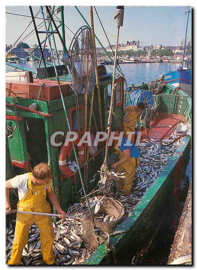 CPM La Bretagne en couleurs Concarneau (Finistere)retour de peche des sardiniers Bateau