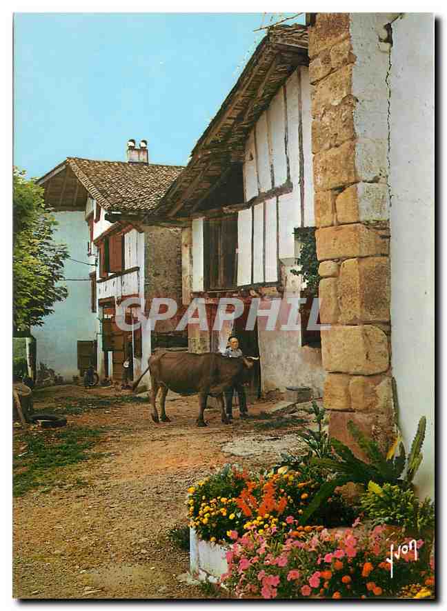 CPM Couleurs et Lumiere de France Pays Basque Fermes pittoresques au Pays Basque 