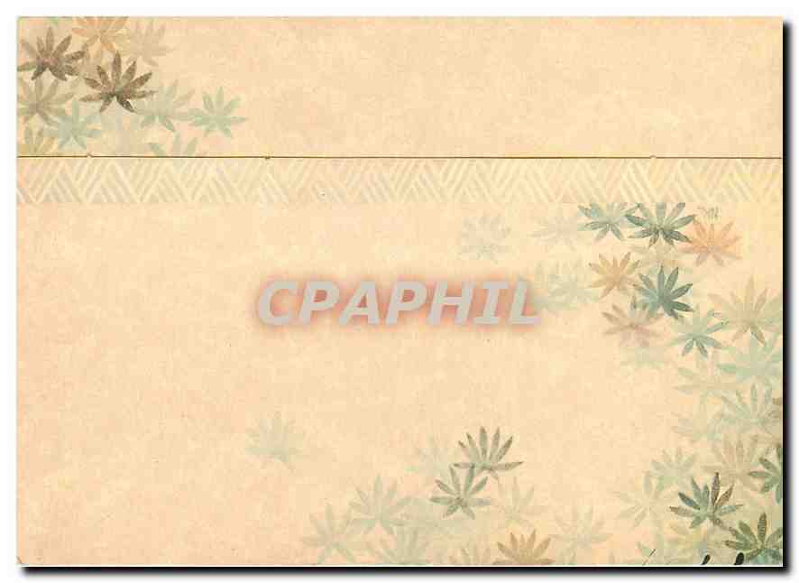 CPM Papillon — Rückseite