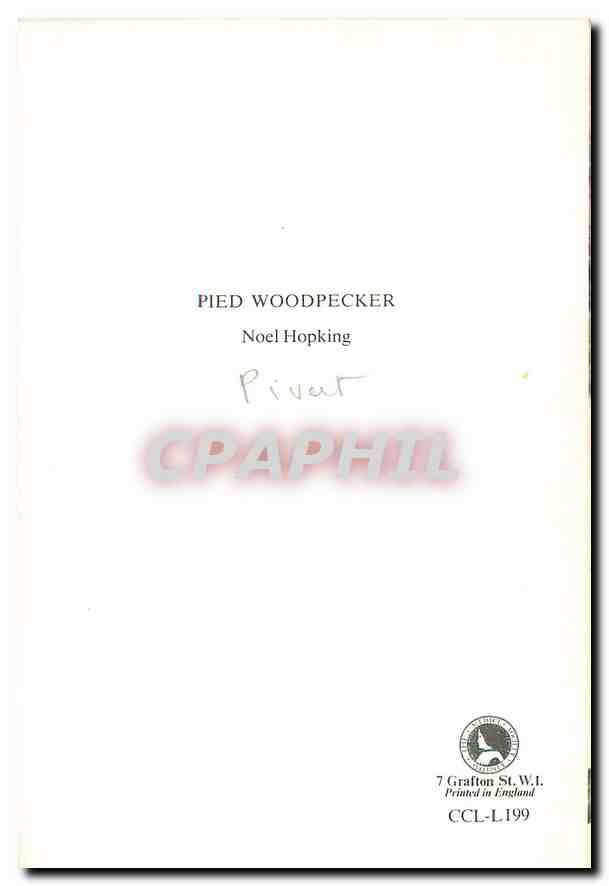 CPM Pied Woodpecker Noel Hopking  — Rückseite