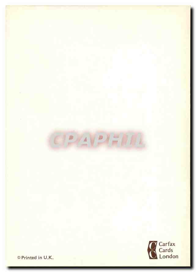 CPM Spotted Hycatcher  — Rückseite