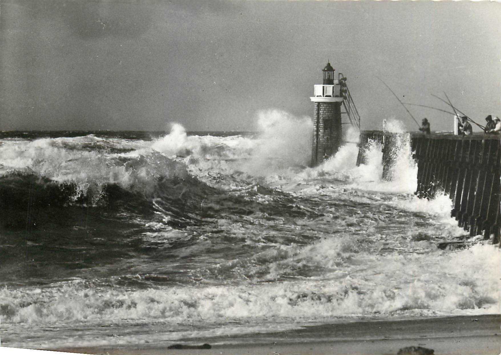 CPM Les Landes de Gascogne Maurice Martin 